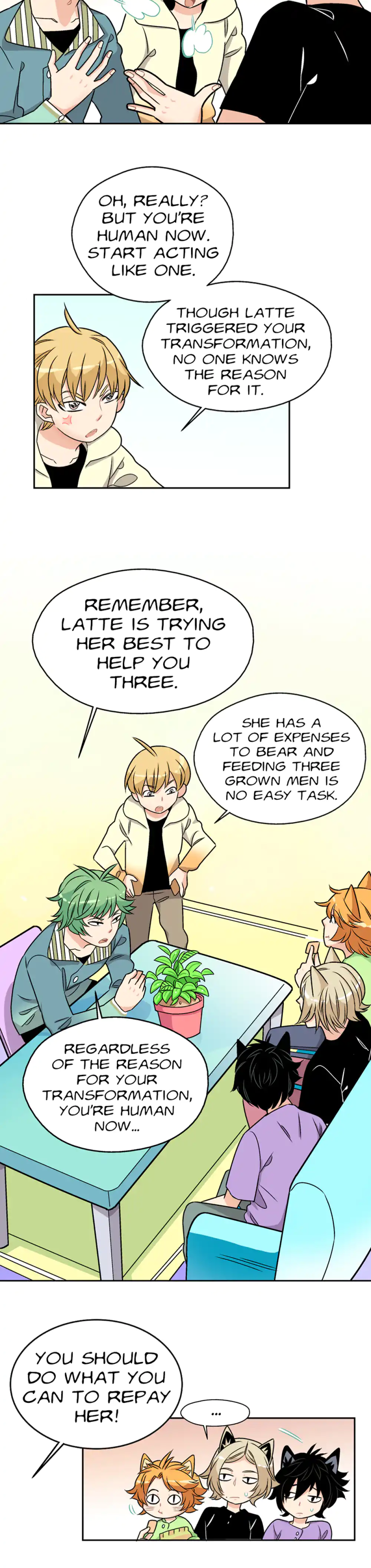 Only The Cats Know panel 12