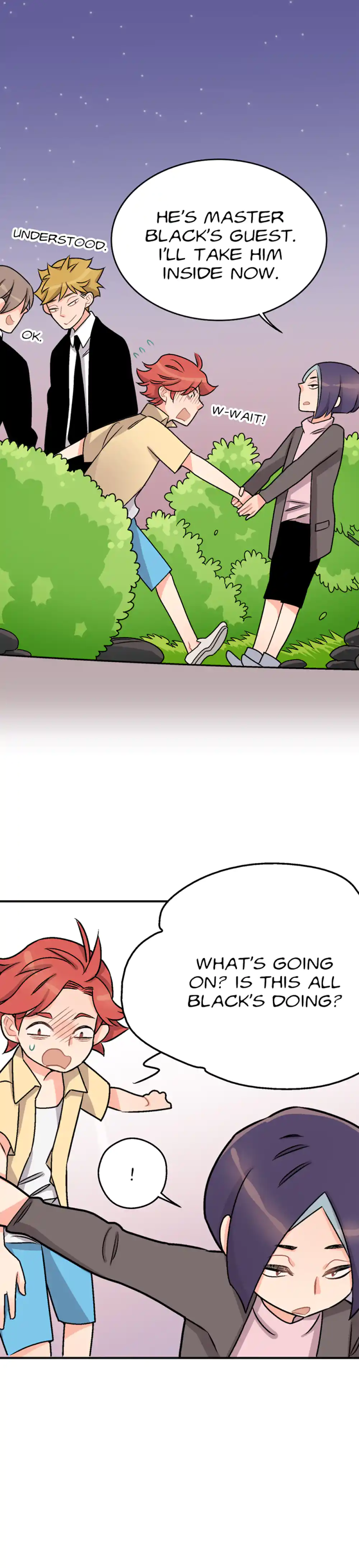 My Secret Buddy panel 12