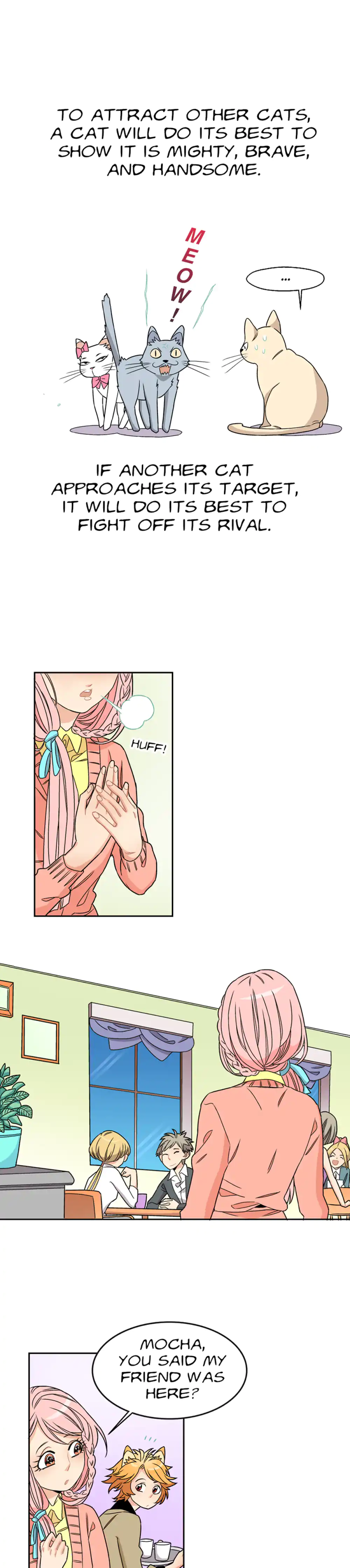 Only The Cats Know panel 1