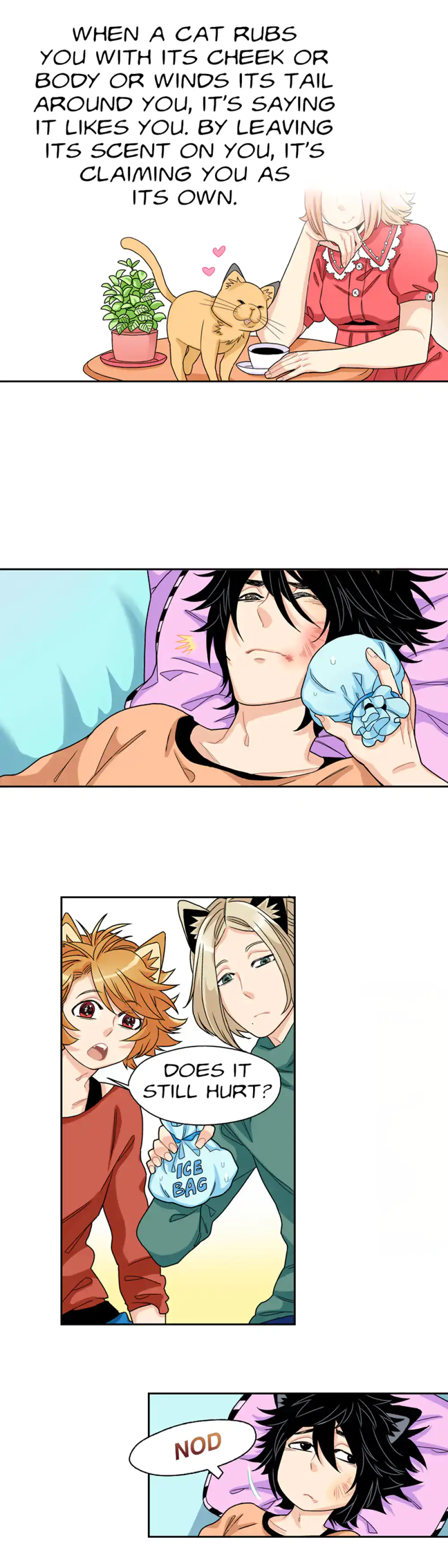 Only The Cats Know panel 1